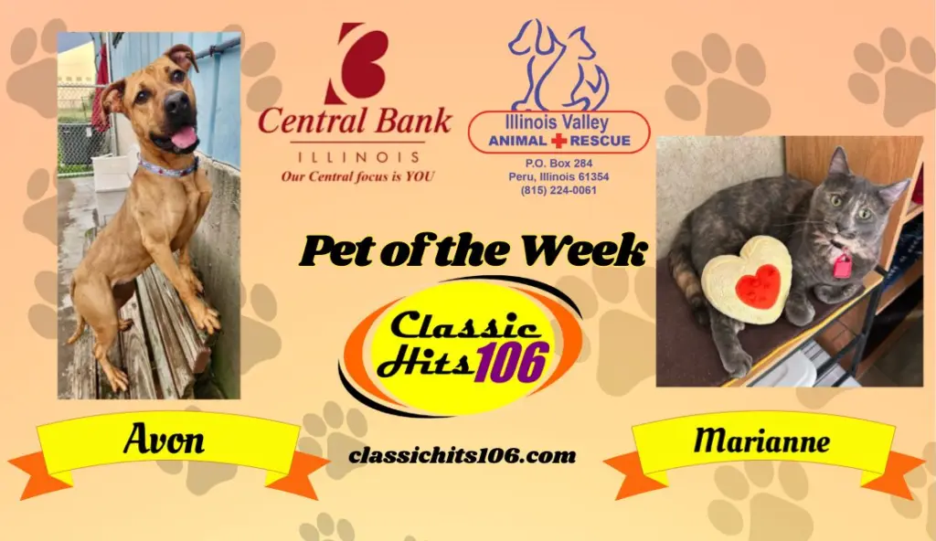pet-of-the-week-wyys-6