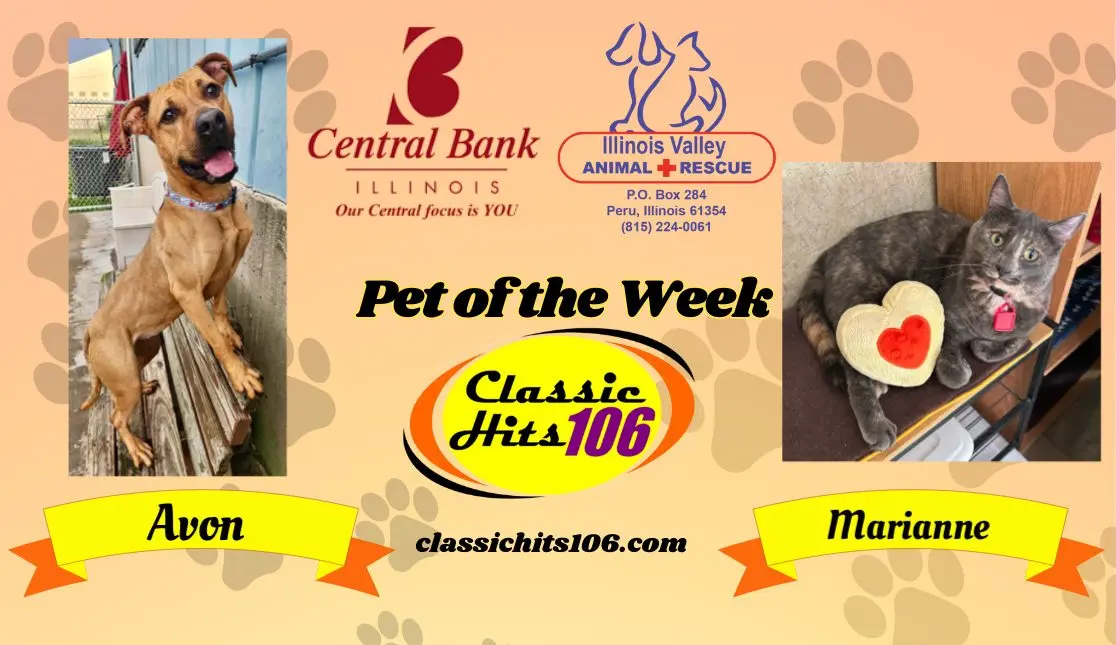 pet-of-the-week-wyys-6