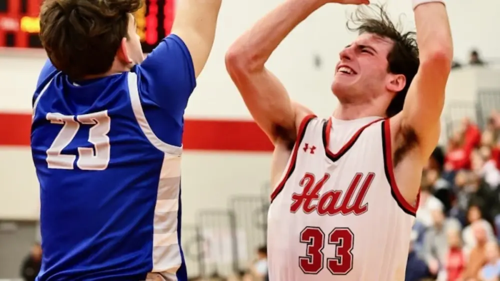 Here's a look at Bureau County boys statistical leaders including Bureau Valley, Hall, Princeton and St. Bede based on available stats as of Feb. 20