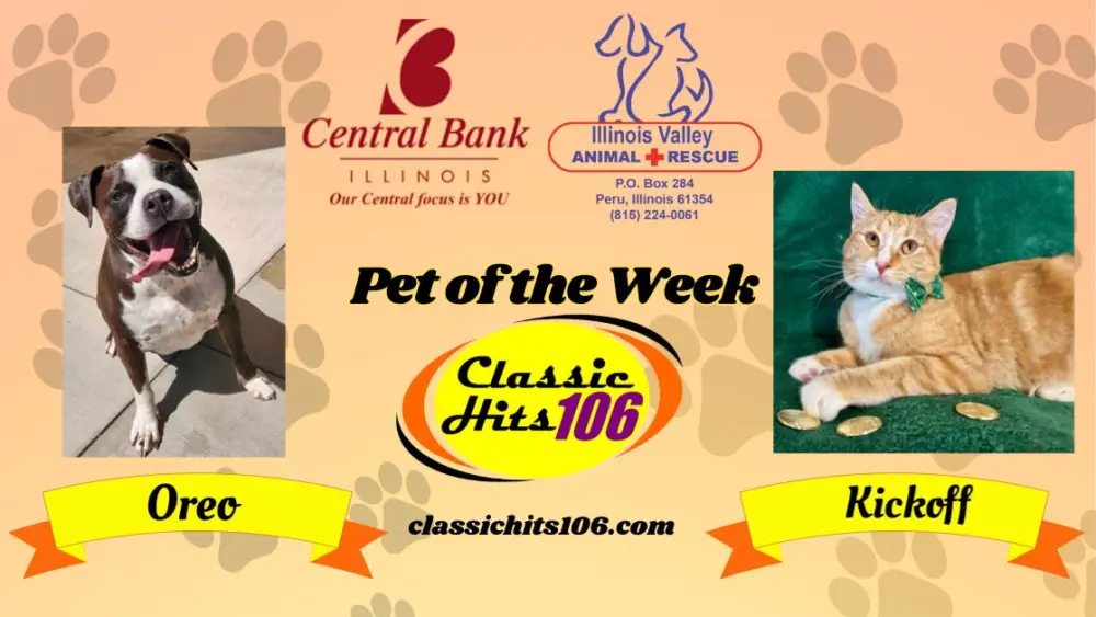 pet-of-the-week-wyys-7