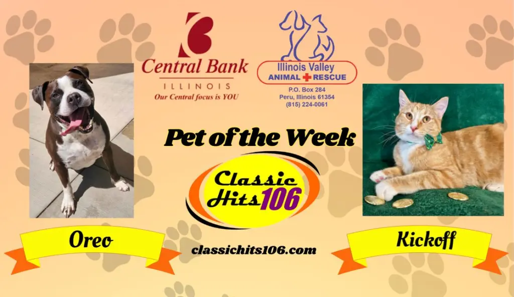pet-of-the-week-wyys-7