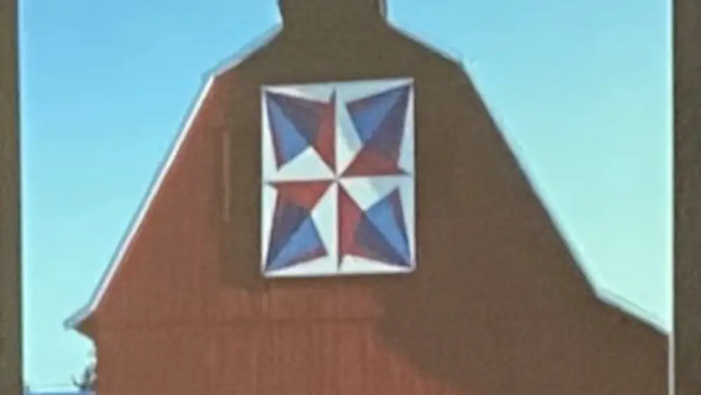 The Chief Senachwine Chapter, National Society Daughters of the American Revolution, held its February meeting at the Henry Public Library with Regent Jean Galetti presiding.