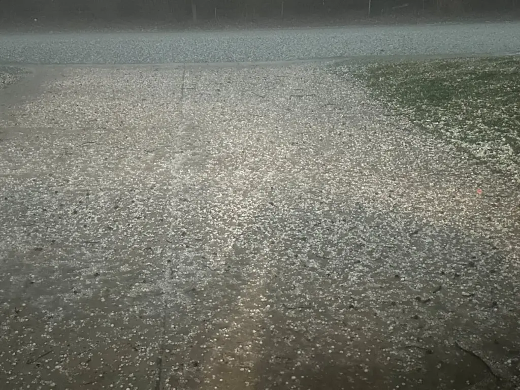 The National Weather Service issued a tornado warning Tuesday night for parts of southwestern Bureau County and southeastern Henry County.