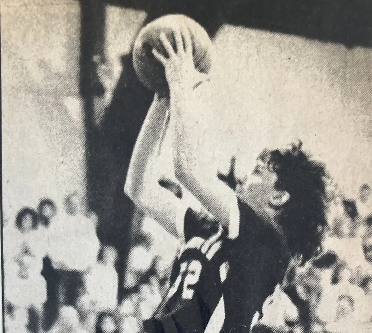 5olocre3svaihed2auiag7ldvy3302