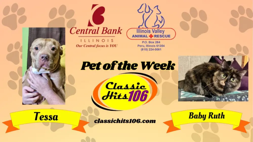 pet-of-the-week-wyys-8