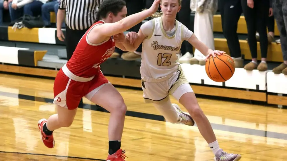 Here is the 2025-26 All-Interstate 8 Conference girls basketball team, as voted on by I-8 coaches.