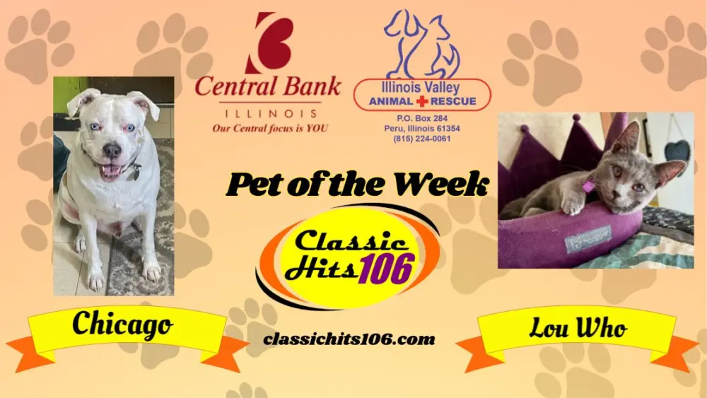 pet-of-the-week-wyys-9