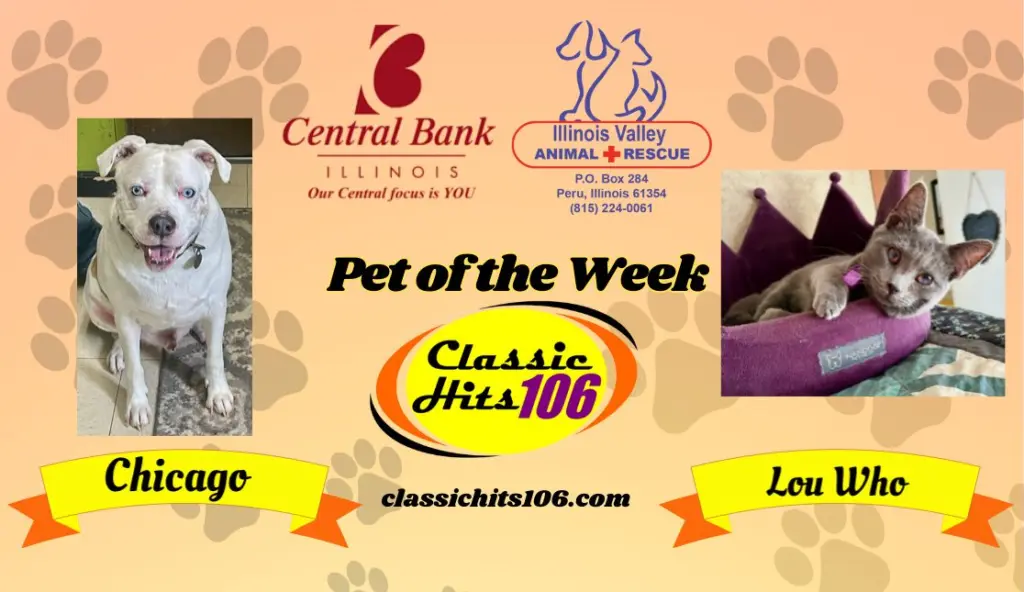 pet-of-the-week-wyys-9