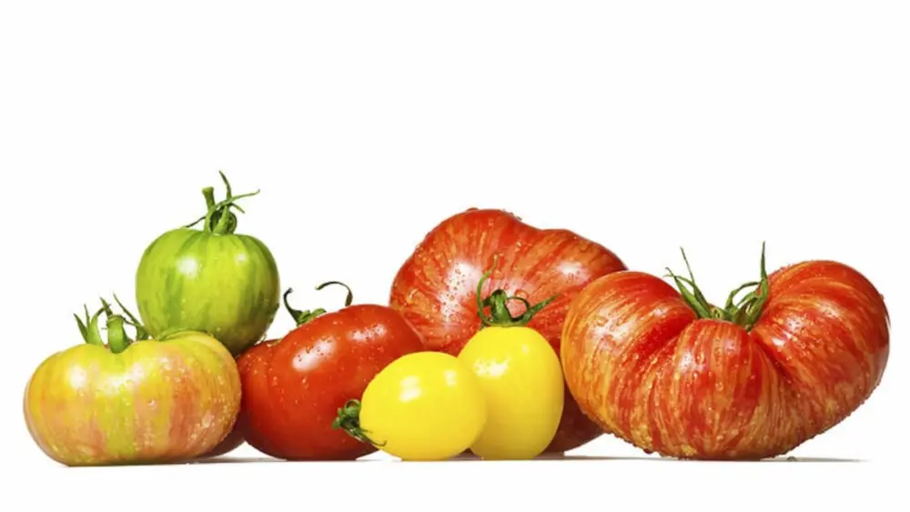 The University of Illinois Extension will hold a free Tomato Troubles educational program from 5:30 to 6:30 p.m. Thursday, April 23, at the Oglesby Public Library, 111 S. Woodland Ave, Oglesby.