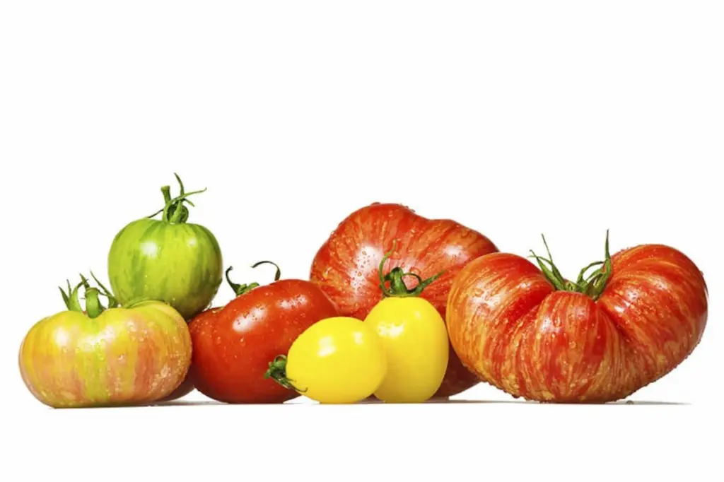 The University of Illinois Extension will hold a free Tomato Troubles educational program from 5:30 to 6:30 p.m. Thursday, April 23, at the Oglesby Public Library, 111 S. Woodland Ave, Oglesby.