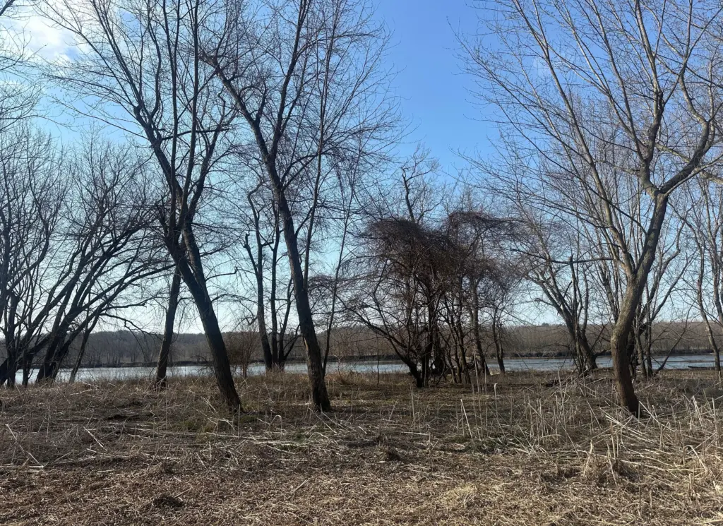 w6vcga5365djdouihps4rbbvsq