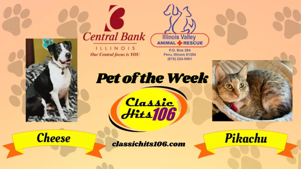 pet-of-the-week-wyys-10