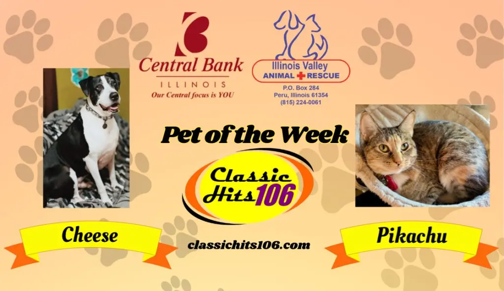 pet-of-the-week-wyys-10