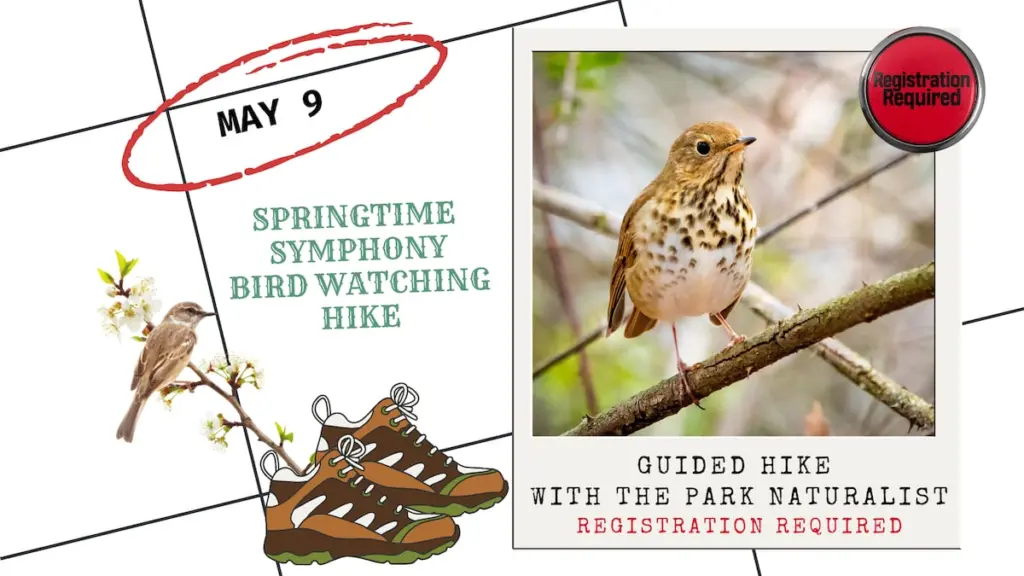 Springtime Symphony, a bird hike with the park’s naturalist, will be at 7 a.m. Saturday, May 9 at Starved Rock. Registration is required.