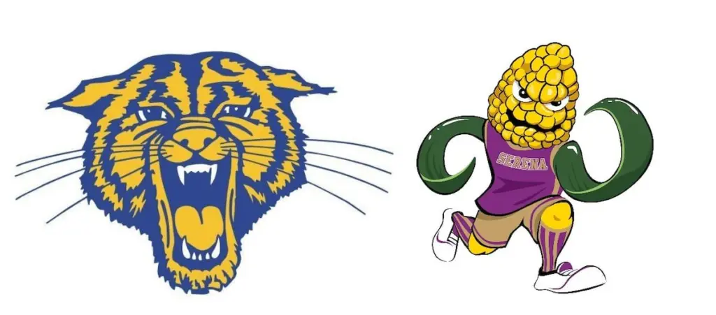 Serena and Somonauk/Leland softball maintained their tie atop the Little Ten Conference standings, Streator softball finished a sweep of Lisle, Ottawa baseball bested Pontiac, plus much more in The Times Tuesday Roundup.