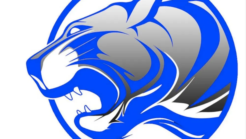 One swing of the bat by Braden Shaw lifted Princeton to a 2-1 win over Erie-Prophetstown in Three Rivers East battle Thursday in Princeton. But it took a throw to home by second baseman Hunter Spiegel and game-ending strikeout by reliever Jack Oester to finish off the Tiger win