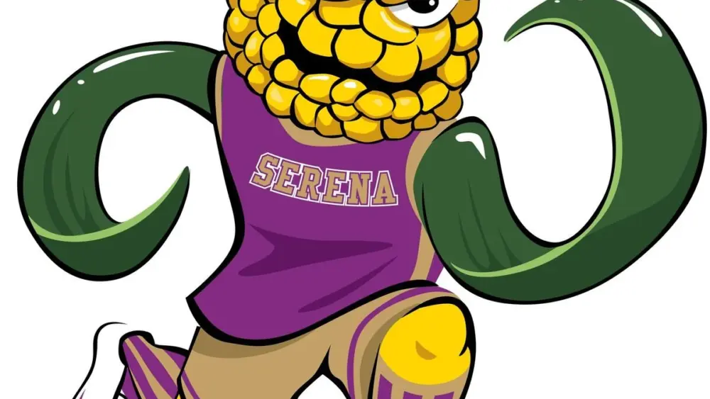 Serena's Cassie Walsh tossed a no-hitter against Gardner-South Wilmington with nine strikeouts on Saturday, while the Marquette baseball and softball teams both topped Yorkville Christian. Plus, more results from around the Times area.