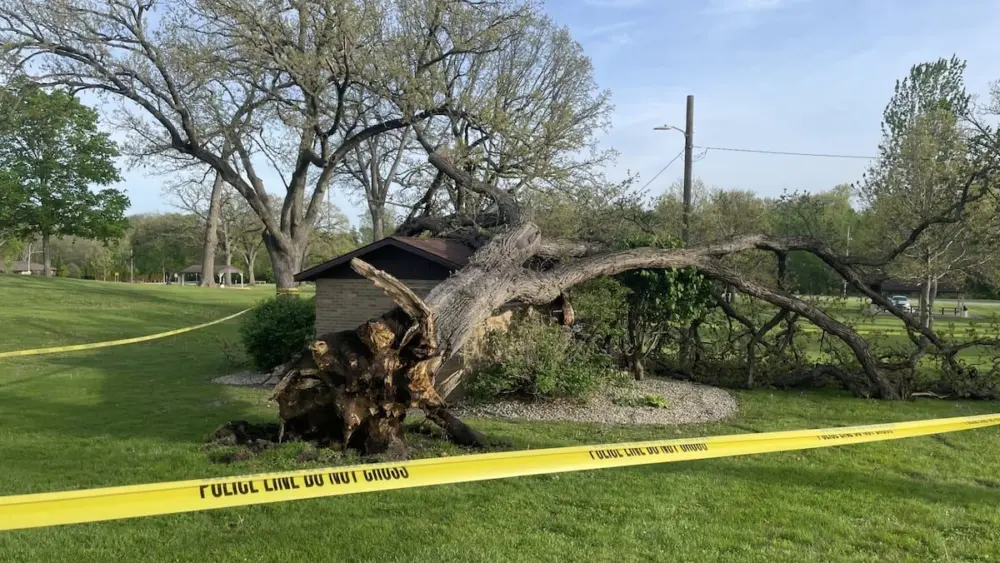 No one was hurt early Sunday evening when a tree fell abruptly at Centennial Park in Peru, but it damaged a brick outhouse and brought down a power line.