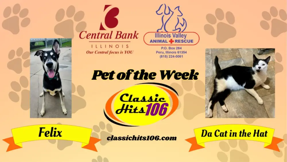 pet-of-the-week-wyys-11
