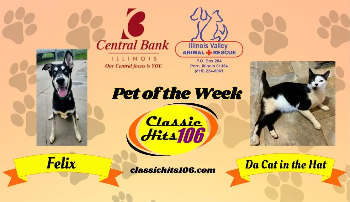 pet-of-the-week-wyys-11