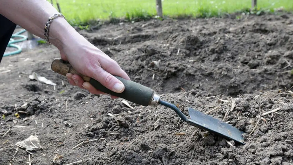 The University of Illinois Extension will give local kids a chance to learn about gardening through it’s 4-H Little Roots Garden Program this spring.