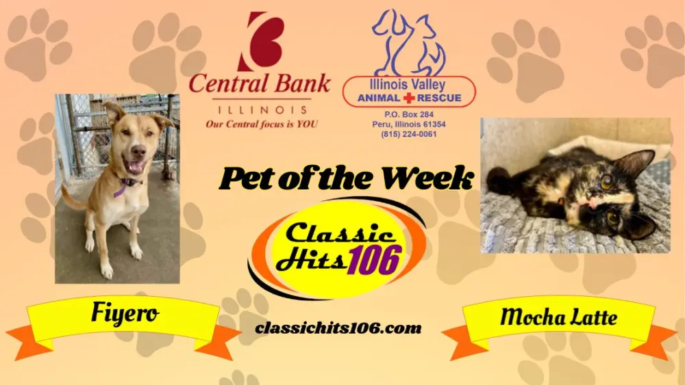 pet-of-the-week-wyys-12