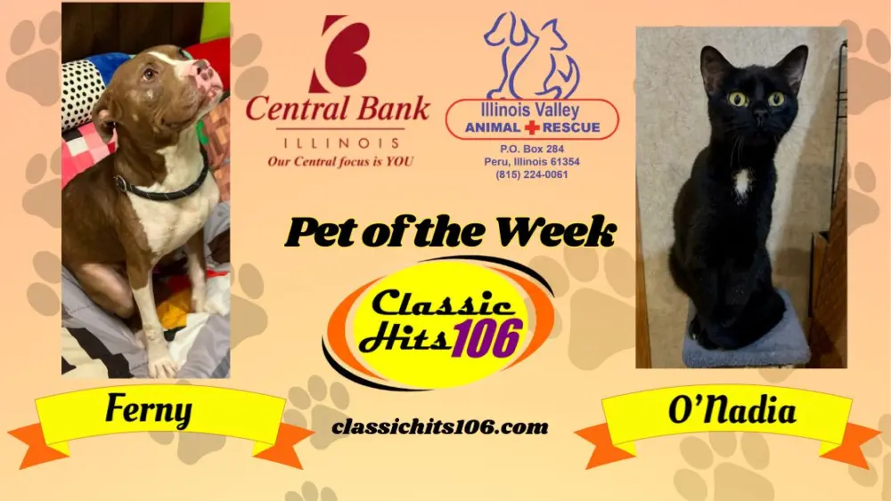 pet-of-the-week-wyys-15