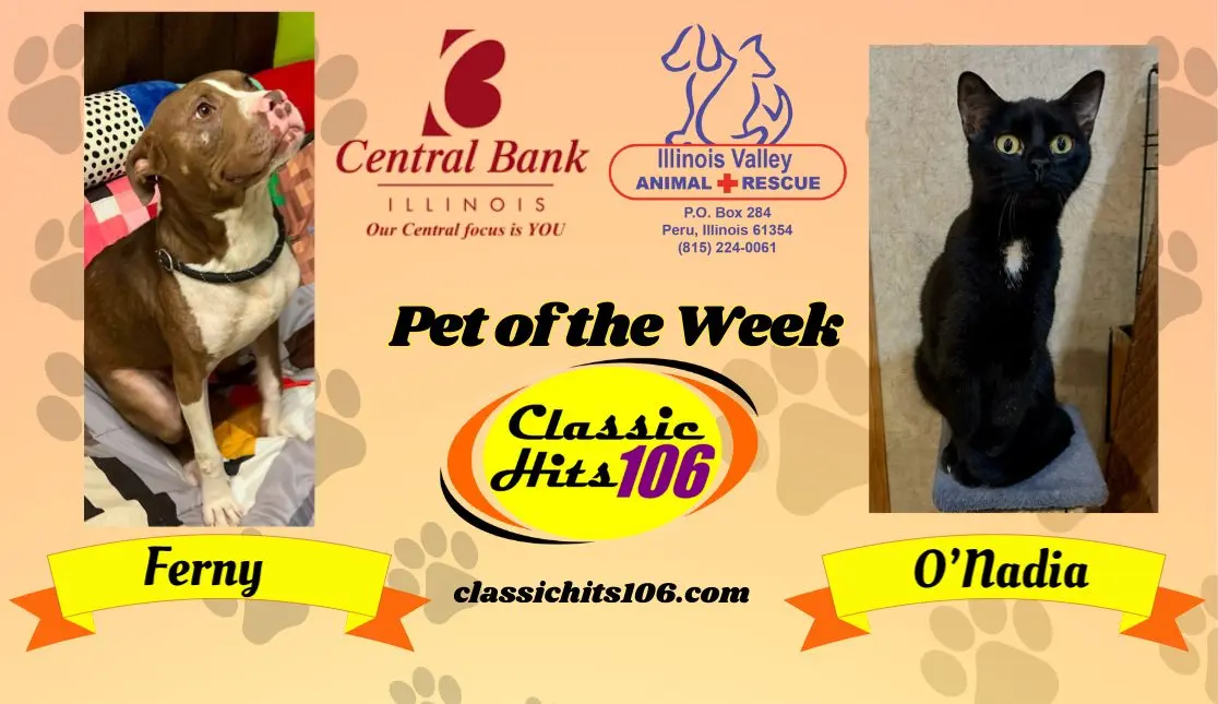 pet-of-the-week-wyys-15