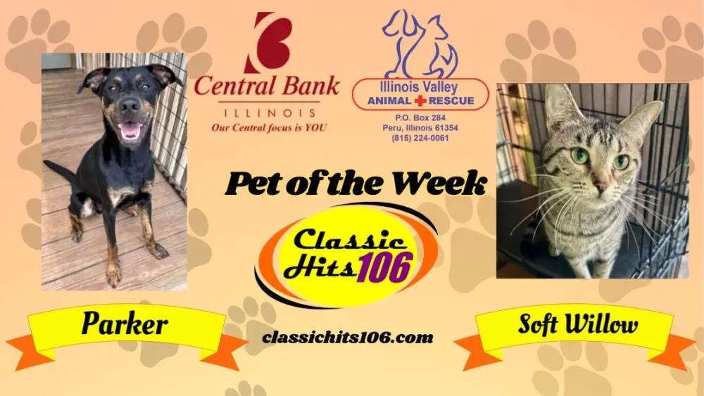pet-of-the-week-wyys-16