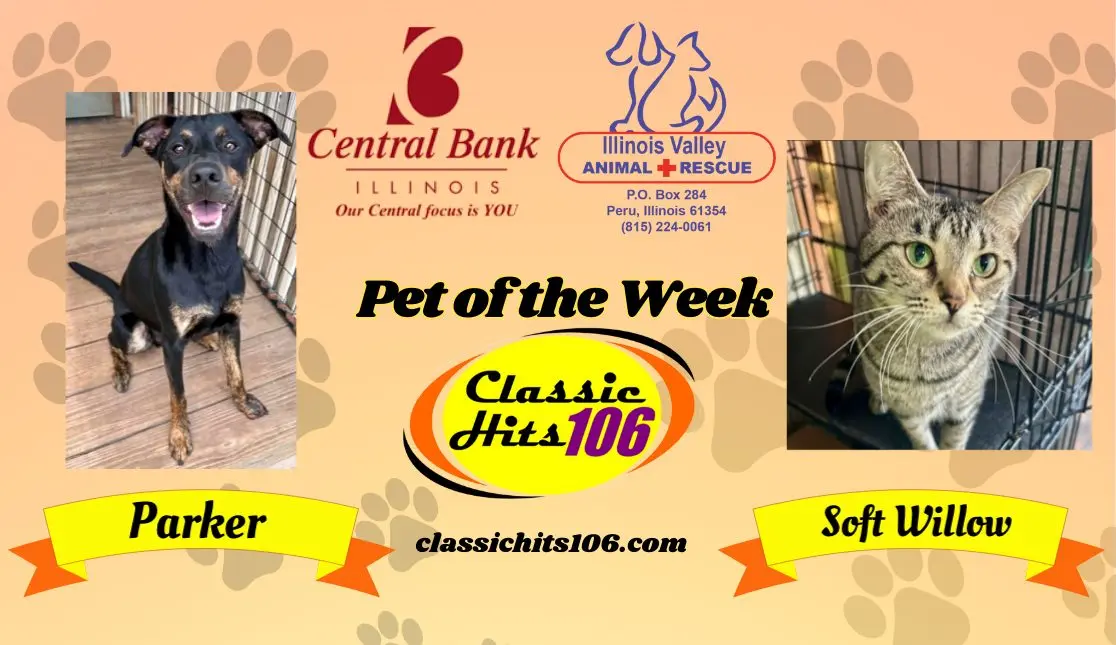 pet-of-the-week-wyys-16