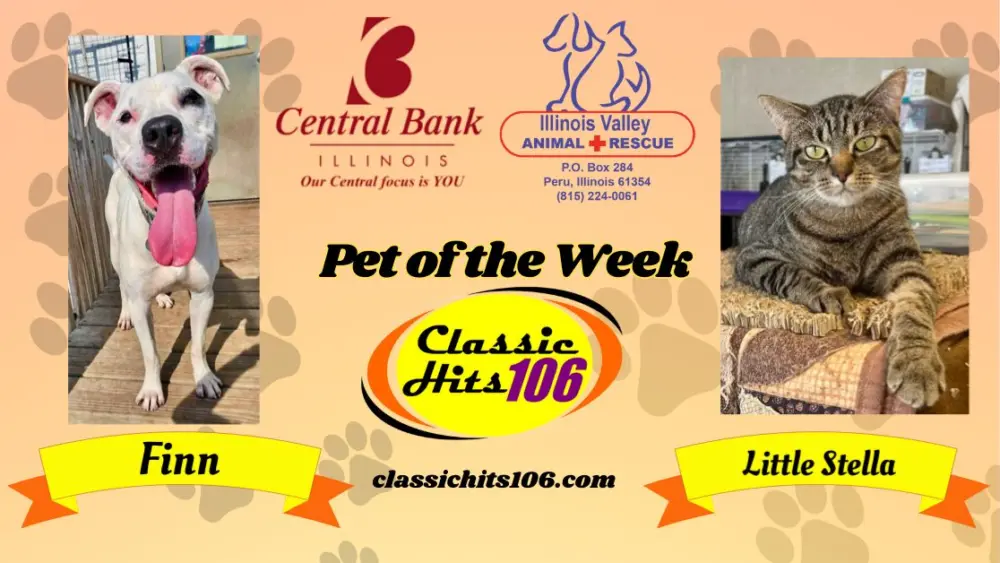 pet-of-the-week-wyys-18