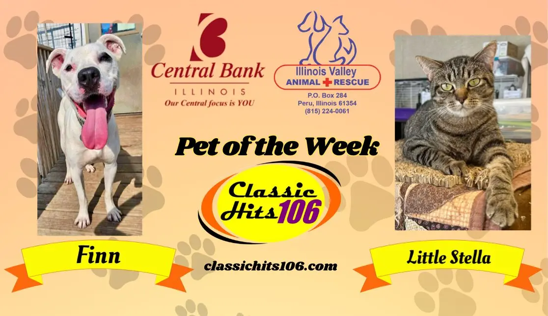 pet-of-the-week-wyys-18
