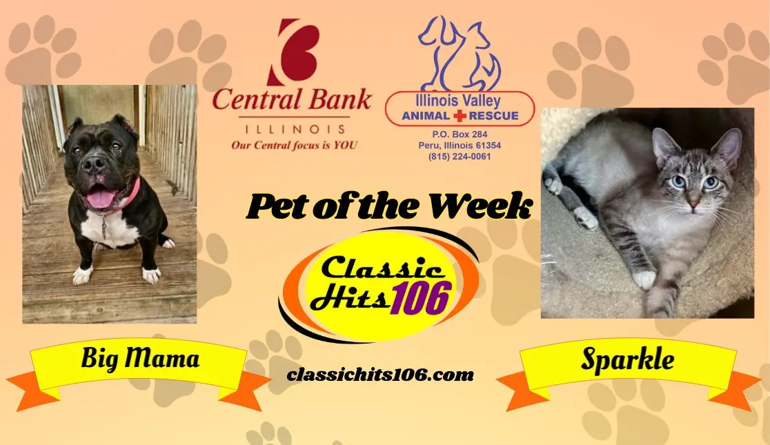 Central Bank IL Pets of the Week: Big Mama & Sparkle! | Classic Hits 106