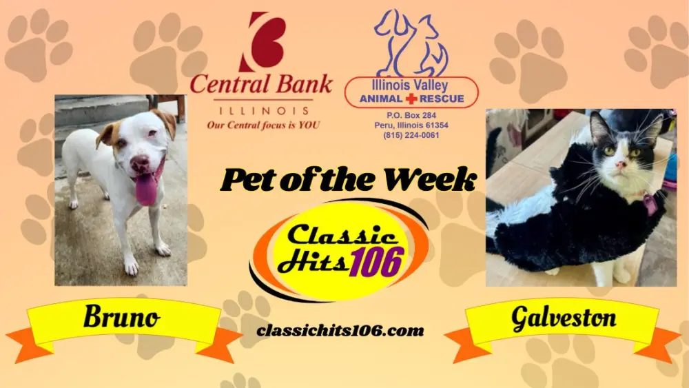 pet-of-the-week-wyys-21