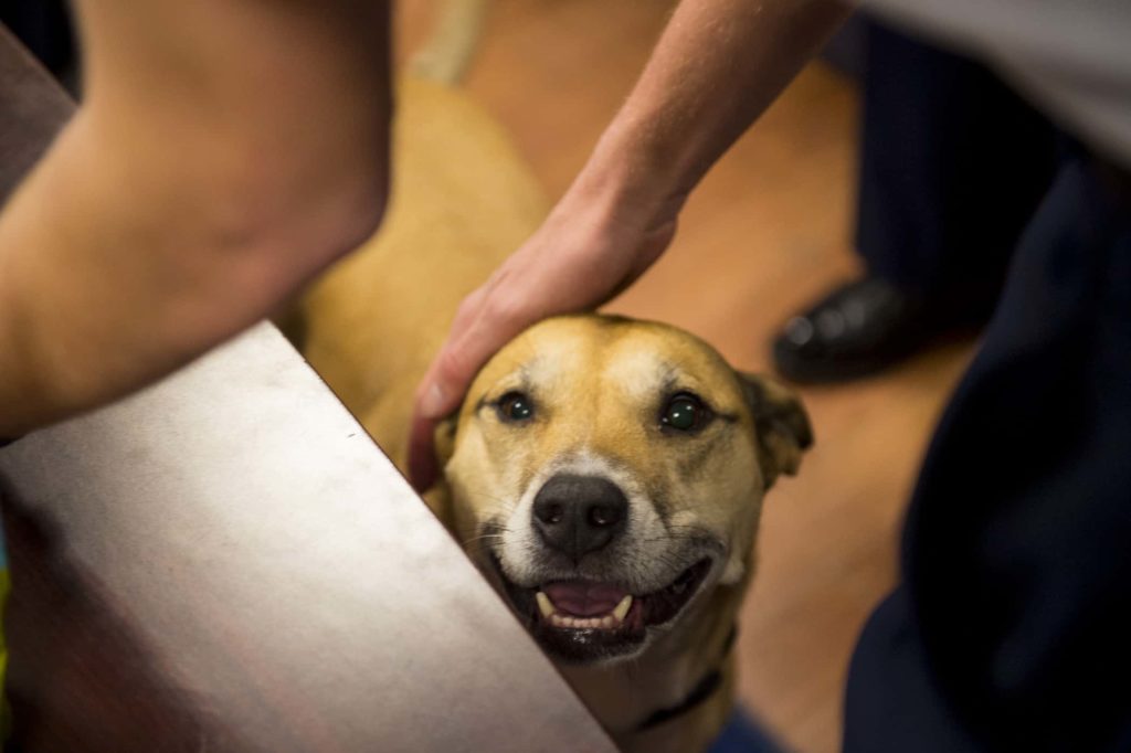 26355882762_5cc0773768_o