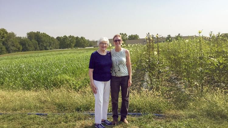 arrpq2sj65exjm6t4mjrn44wdy645119