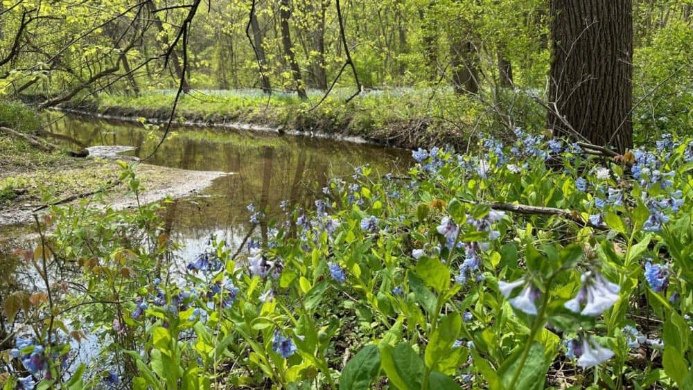 siyw6wtopjgo3ocqzsxnigttce66659