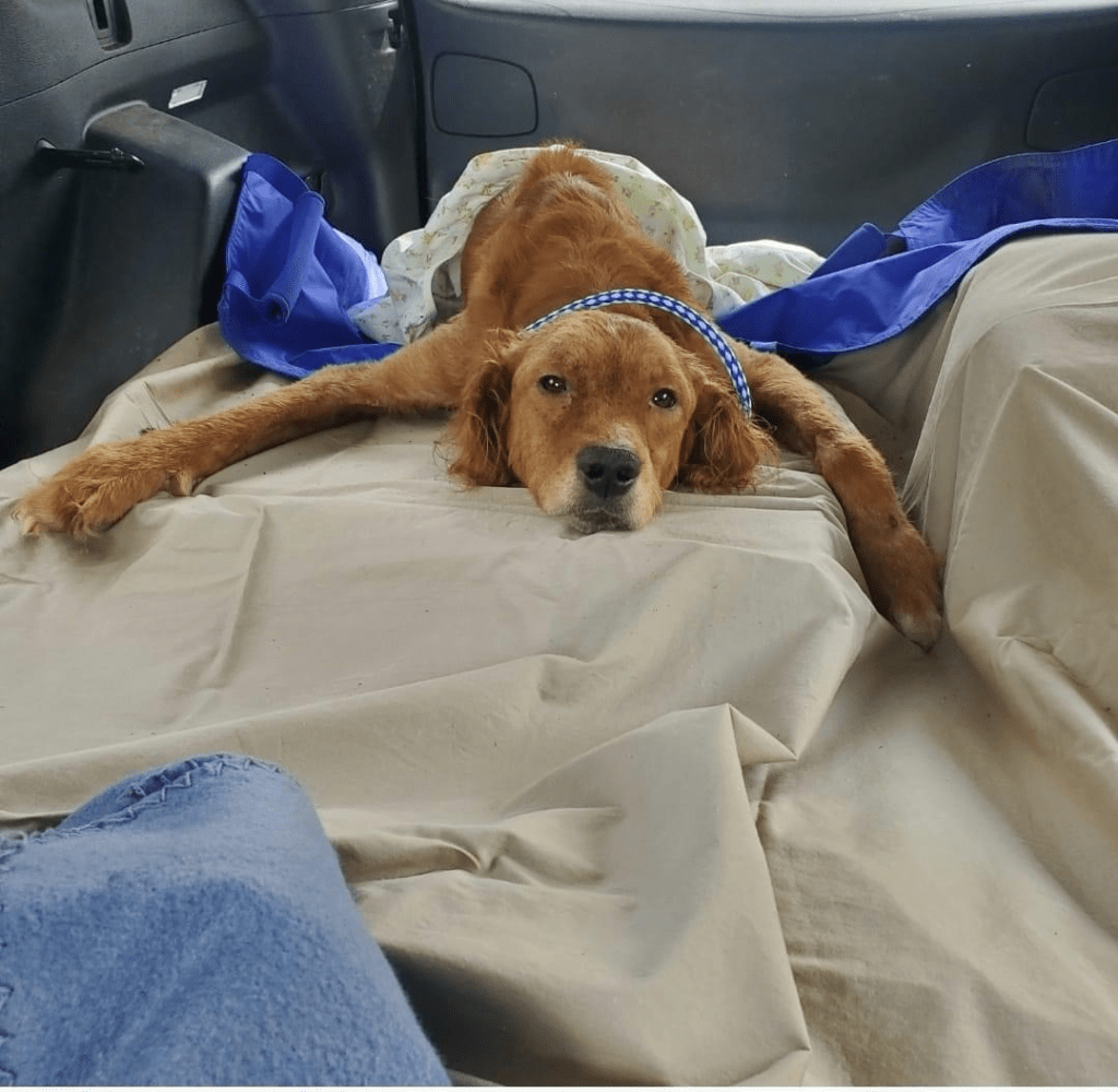 j3ejgtcbgrbyxcx6j7llbns2om628246