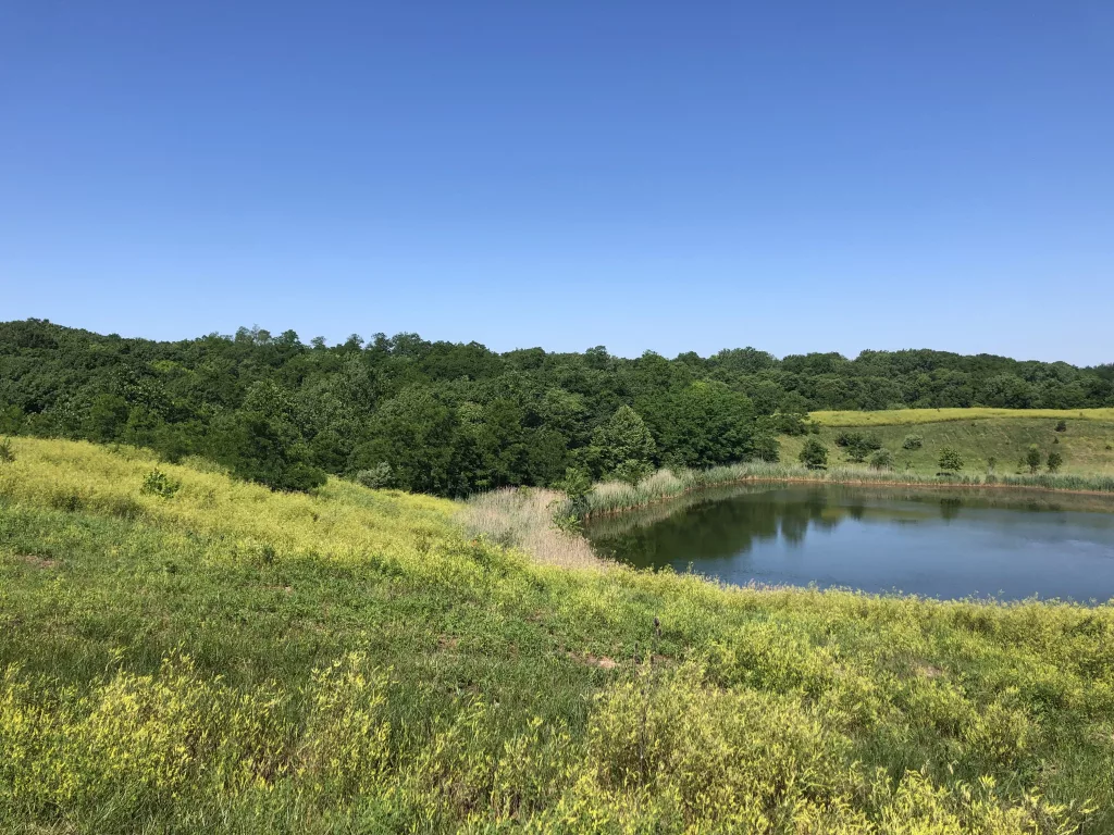 jloblzwdavavxn3wmljdor4qwa665888