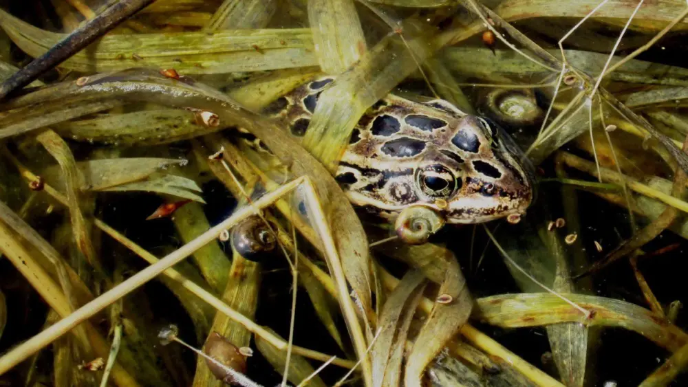 5vh2os6vlffxxjfe5tgqr6nf64