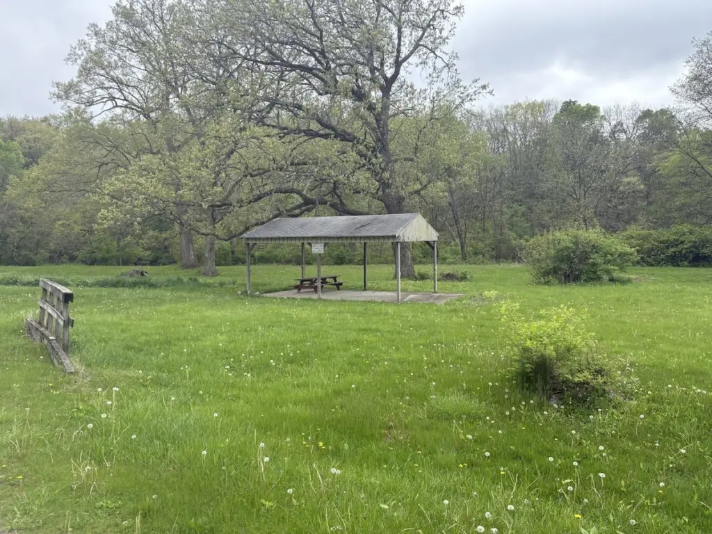 6vi3teppfrbrnktujuwieqdr6q639311