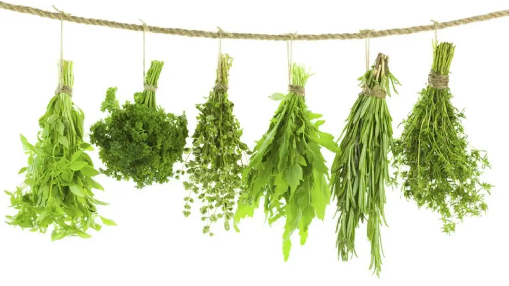 vol6k7ds3jolfdadbhsocviioi622888