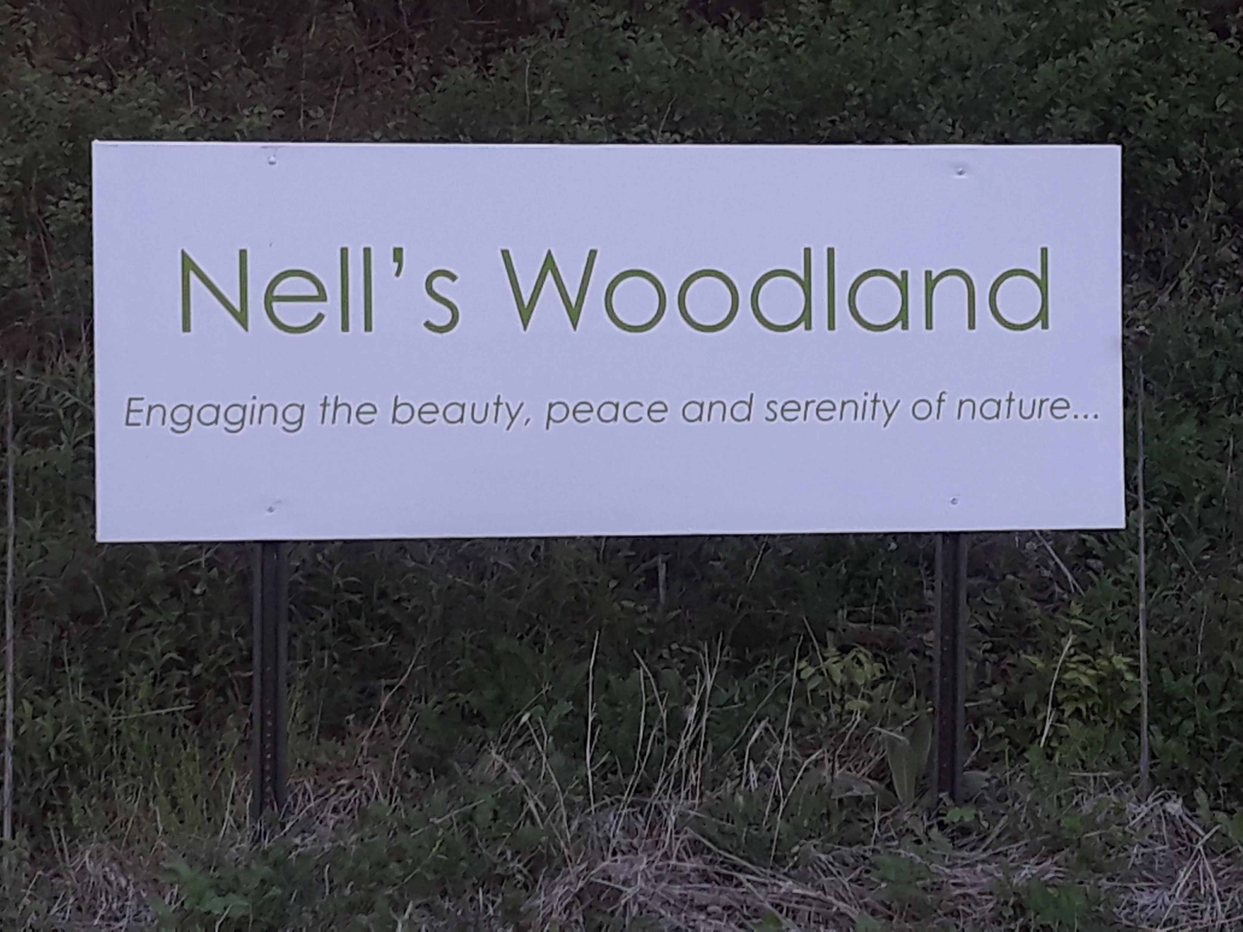 fmmre6wc5fhzlhaxauvzwiwqka142161