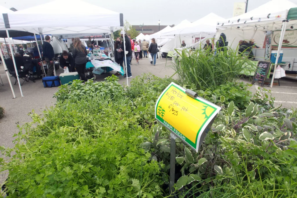 qihqnbwckvb3hggg4c7i2wxqy4595885