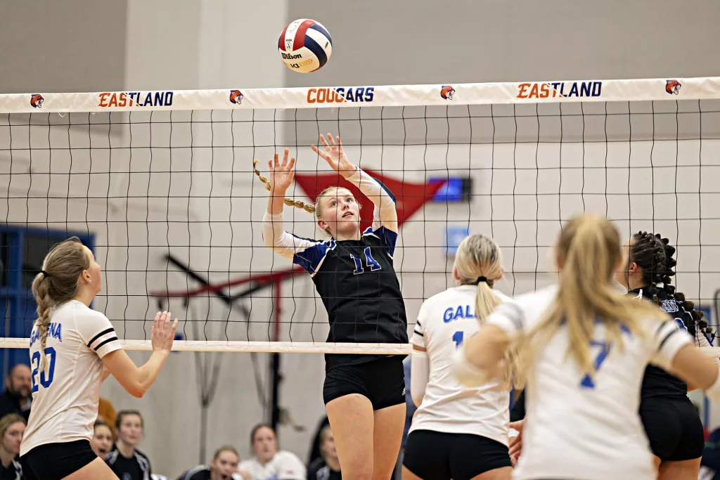 3pgrslnpmfer5mvtn3mrnv2tsm854508