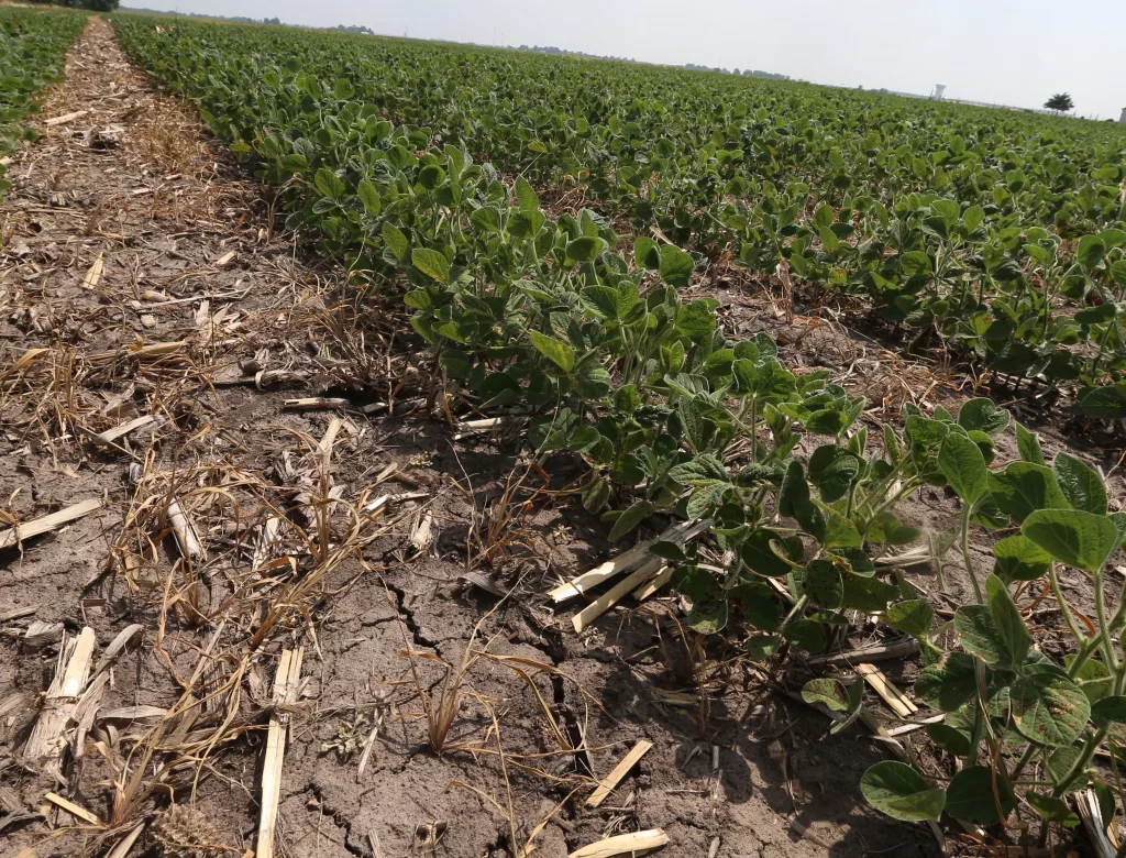 jaug26rgpfcnbd3mzwboqkxvbm496527