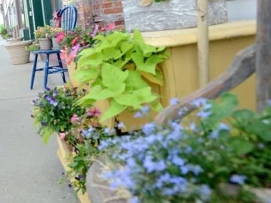 rmehv2f45jem5oimaanfmo2ofe888931