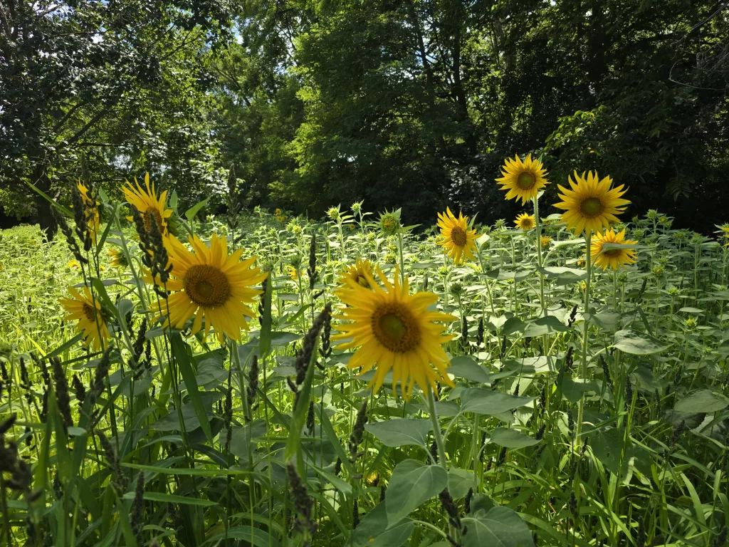 xkgtbyxw5zcmxhagbfbmmr5b3m320143