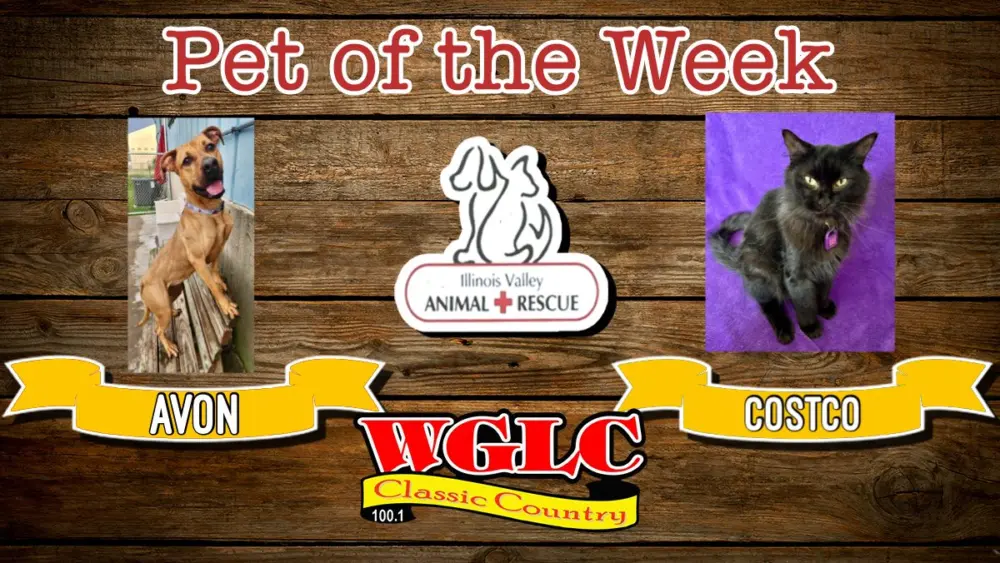 phonto-2025-10-29t061800-078