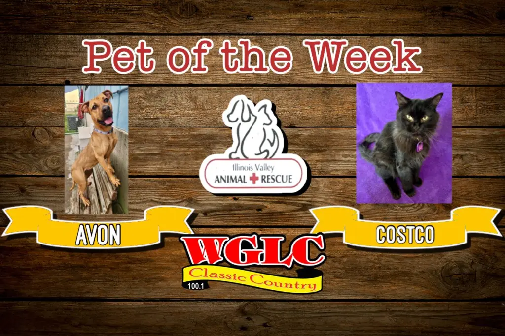 phonto-2025-10-29t061800-078